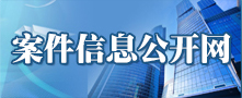 案件信息公开网